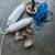 2 boat anchors with 2 boat fender bumpers 1 thumbnail