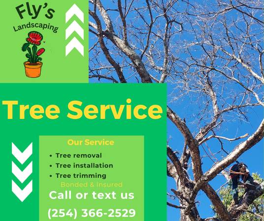 Tree Service 1