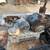 Ingersoll Rand Gas Compressor 1 thumbnail