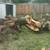 Lawn service weekly/biweekly commercial & resedential 10 thumbnail