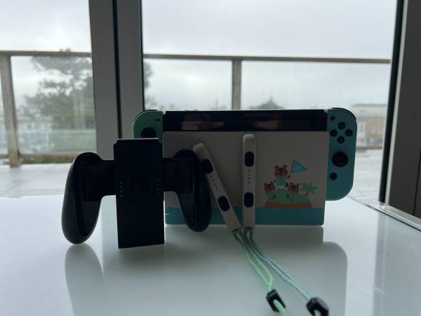 Nintendo Switch - Animal Crossing Edition - video gaming