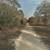 Land Deal in Williston FL(Levy County) - $6,000 5 thumbnail