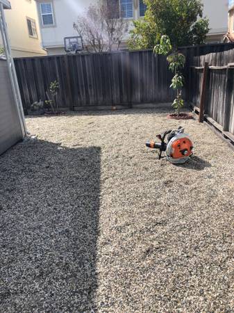 🌳  🌳 LANDSCAPING FAST LOW COST  🌳  🌳 1