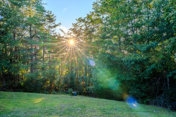$2,200 / 3br - 1873ft2 - Spruce Pine: Adorable clean and spacious hilltop house for rent64029205273345124