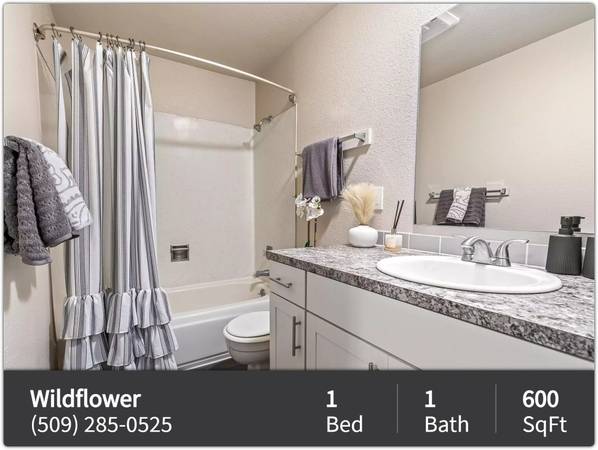 $1,195 / 1br - 600ft2 - Purrrrrrrfect! Cats and dogs welcome. Come check us out. (Kennewick)63850860675075121
