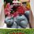 Rainman's Pets Ceramic Plant Self-Watering Spikes w/ Funnel - Squirrel 12 thumbnail