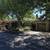 2264 Grahn Drive - Single-Family in Santa Rosa 2 thumbnail