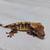 Crested geckos 9 thumbnail