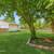 3 Bed-1 Bath House in Downers Grove 11 thumbnail