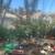 jumbo room 20 ft high in  ceiling forest nr Irvine Spectrum handyman welcom 1 thumbnail