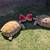 Sulcata tortoise 2 thumbnail