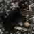 Pet small Pomchi 4 thumbnail