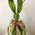 Green Bunny with Bow Figurine Home Decor 1 thumbnail