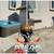 Property Cleanouts, Repairs, Yard Work & Maintenance 4 thumbnail