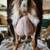 Nigerian Dwarf Does Pets and ADGA Show 3 thumbnail
