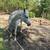 Arabian Mare 1 thumbnail