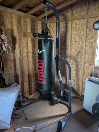 Punching bag with stand 1