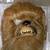 Chewbacca Collector Mask Star Wars 2 thumbnail