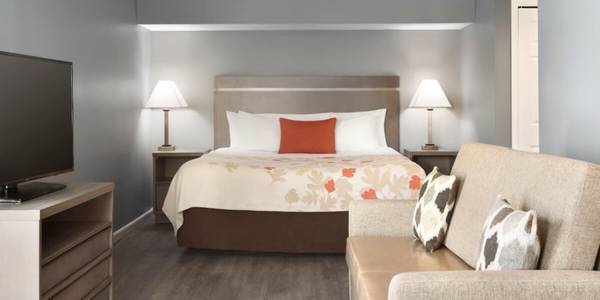 $441 Free Parking, Siegel Rewards Program, WiFi access63836552792065122