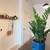 *12 weeks free!* New Luxury 1 Bed Near Olde Town Arvada! ~ Move Now! 14 thumbnail