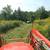 Bush-Hog Field Mowing 3 thumbnail