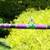 fishing rod for sale 1 thumbnail