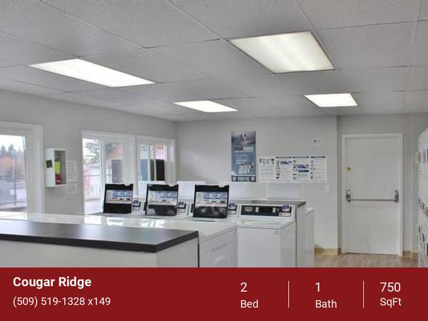 $1,175 / 2br - 750ft2 - Limited June Move-Ins Left! (2024 NE Terre View Dr. Pullman, WA. 99163)63689276454787123