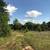 EXCELLENT OPPORTUNITY  TO  LIVE, PRODUCE, GROW AND RAISE CHILDREN 6 thumbnail
