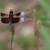 20% Fall Vacation Cottage Discount at Montfair- Canoe, Bike and Fish 22 thumbnail