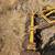 Disc Harrow Plow- 3 point Tractor Heavy Duty 4 thumbnail
