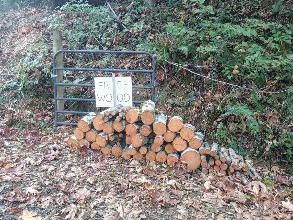 FREE ALDER LOGS 1