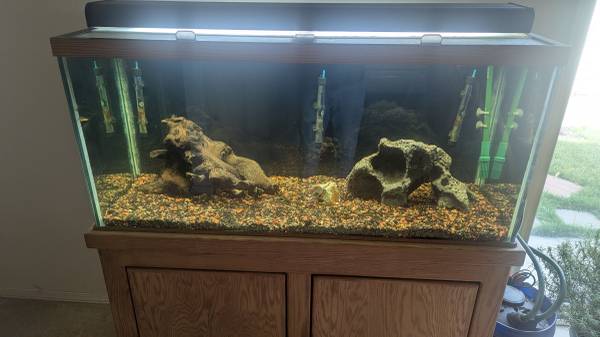 90 Gallon Fish Tank with Oak Stand 1
