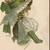 Sidney Z. Lucas 5 Color Etching's 4 thumbnail
