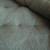 weighted blankets-30lb.-12lb.-bean bag frog 10 lb. 4 thumbnail