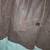Armani Exchange 100% Genuine Leather Bench Warmer Parka w Hoodie Mens Size XL 9 thumbnail