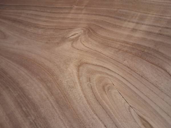 Catalpa tree Slab 1