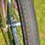 1984 Schwinn Fair Lady Sting-Ray Bicycle with owners manual 15 thumbnail