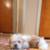 puppy 2 thumbnail
