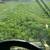 Steamboat Springs Grass Hay 2 thumbnail