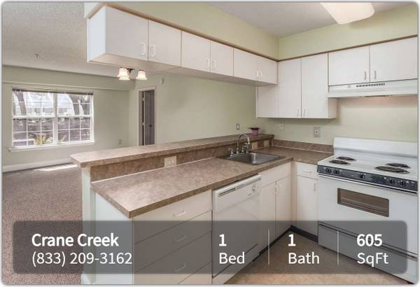 $1,125 / 1br - 605ft2 - Where every corner tells a story: Discover our 1 BR oasis. (Melbourne)63846408966913121