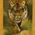 Large beautiful original Chinese tiger painting scroll 4 thumbnail