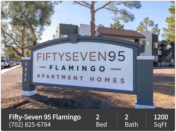 $1,250 / 2br - 1200ft2 - Large 1200 sqft 2 bed, 2 bath! Convenient washer and dryer included! (Las Vegas)63859500370177121