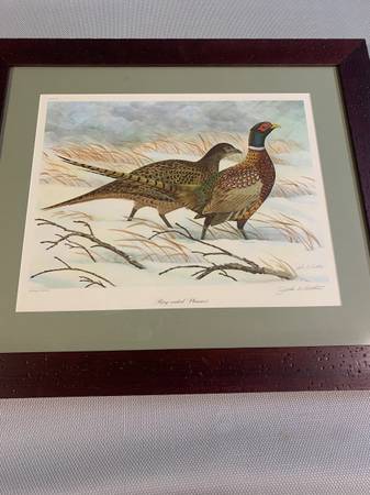 John Ruthven Ring-necked Pheasant 1
