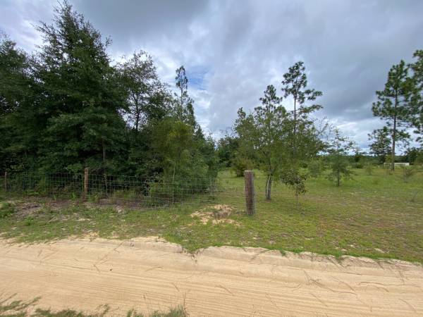 $65,000, complejo familiar de cinco acres: permite una vivienda móvil por acre (Marianna, FL)63432630737665124