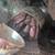 Hermit crabs 4 thumbnail