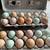 Farm Fresh & Fertilized Eggs 3 thumbnail