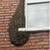 Bee Swarm Removal 5 thumbnail