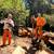 TREE  REMOVE & CLEAN UP SERVICES PREVENT FIRE EAST BAY 24 thumbnail