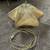 Mid-Century Modern lucite string hanging lamp. One owner. Works. 6 thumbnail