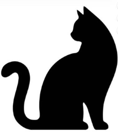 BLACK CAT OWNERS PLEASE READ 1
